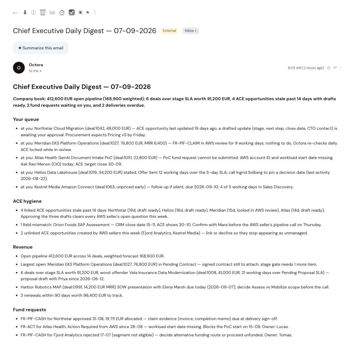 Octora Chief Executive Daily Digest email with company book summary, your queue, ACE hygiene, revenue and fund requests sections